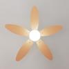Cecotec Ventilateurs de plafond avec lumière EnergySilence Aero 4260 Full Orange