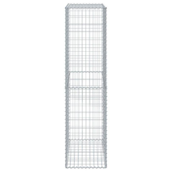 VidaXL Panier gabion avec couvercle 100x50x200 cm fer galvanisé, mur en gabion, mur de soutènement en gabion, clôture en 3295166