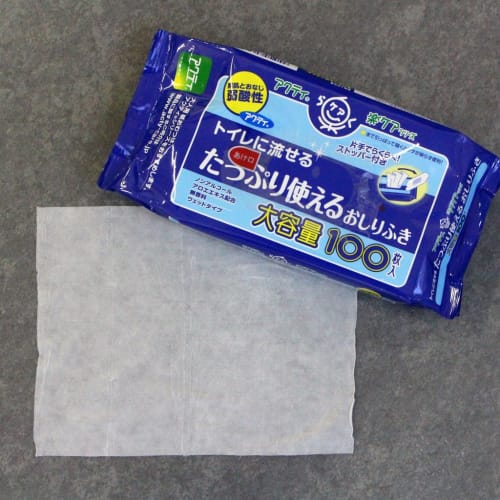 Nippon Paper Crecia Acty Flushable Baby Wipes, 20 X 15 Cm, 100 Sheets (One-Handed Easy-Dispensing Stopper)