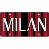 Souvenir Metal License Plate, Custom Auto Sign 15x30cm