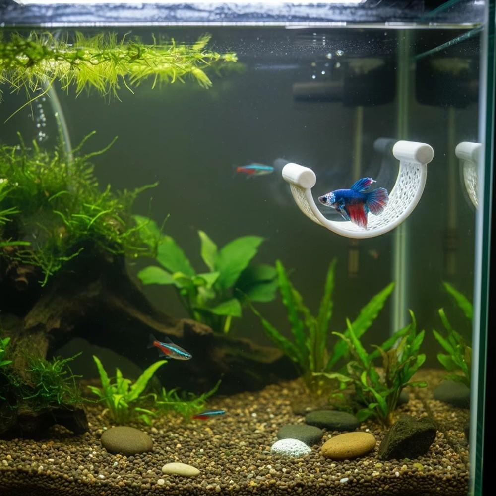 Plastic Betta Fish Hammock 3D Printing Hammock Feeding Ring  Small Aquatic Pets