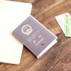 BUBM Frosted Splash-Proof Travel Passport Holder 2-Pack