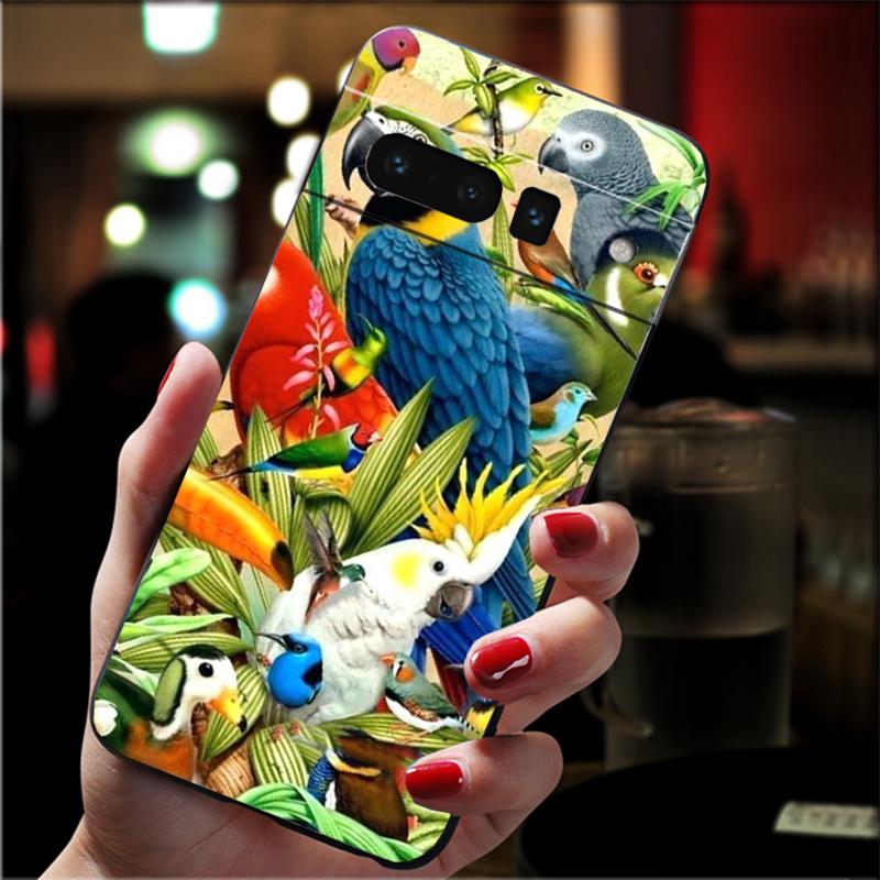 

Phone Case For Google Pixel 10 9 Pro XL 9A 8 7 6 Pro Pixel 8A 7A 6A Pixel 8 7 6 5 Parrot Bird Google Pixel 8a