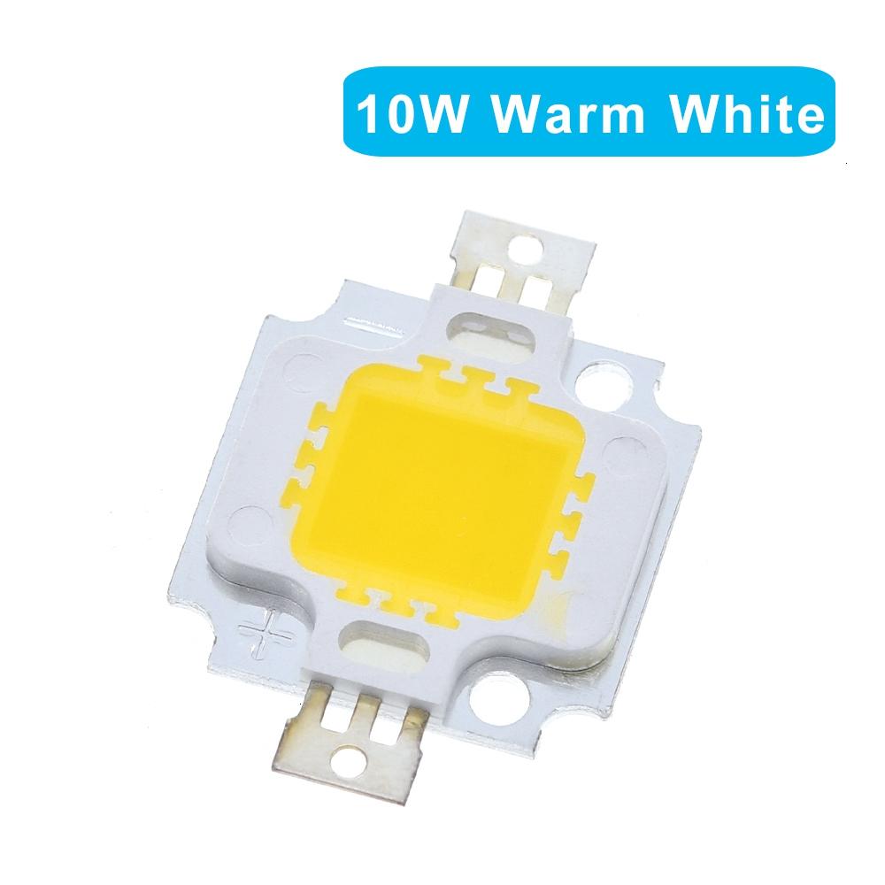 5/10/30PCS TZT 10W LED Bulb 10w led 900lm Lamp Light White / warm white High Power 20*48mli Chip for flood lamp
