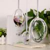 5 Stück Ei-Form Klar Nachfüllbar Kunststoff Kugel Baumschmuck