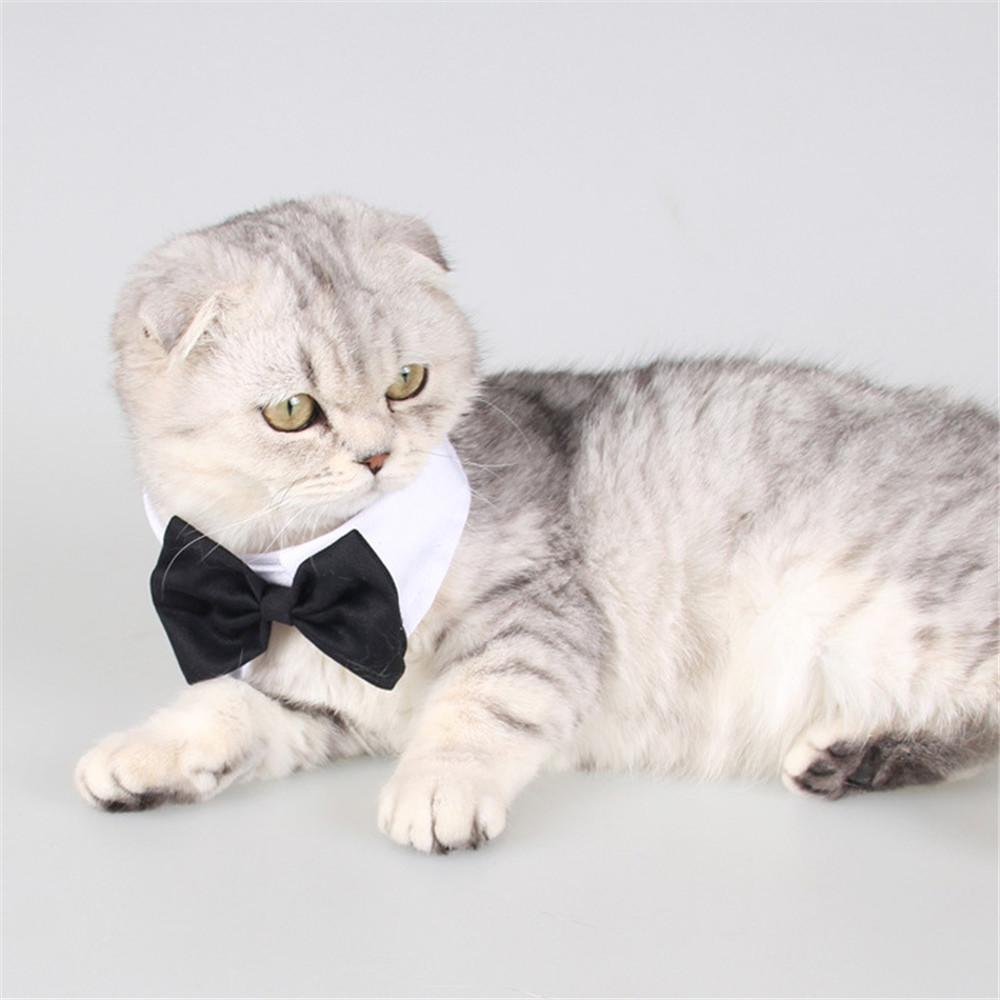 Birthday Party Weddings Puppy Dog Bow Tie Necktie Bows Cat Tuxedo Collar Pet Formal Tuxedo
