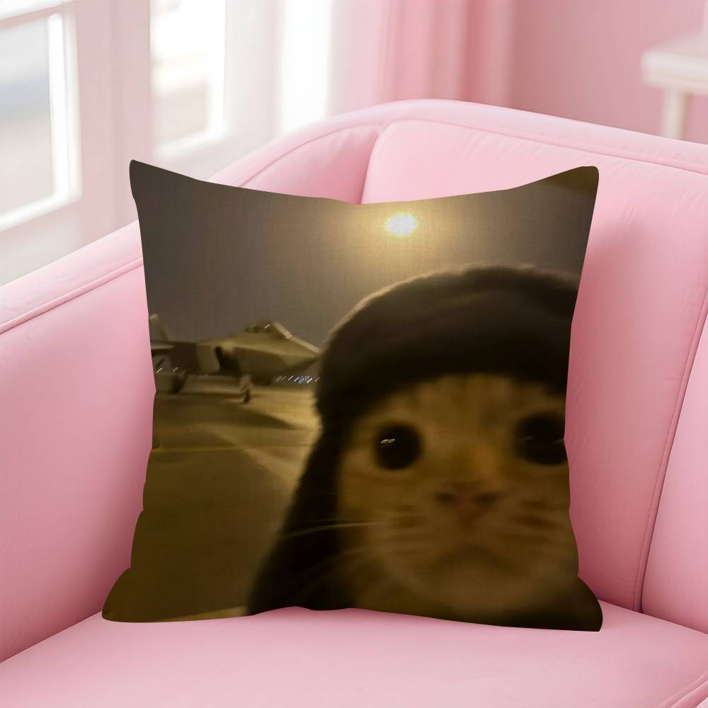 Funny Cat MMeme  Personalized Pillow Cover Kids Bedroom Wild Party Decor Pillowcase Kid Birthday Shower Gift