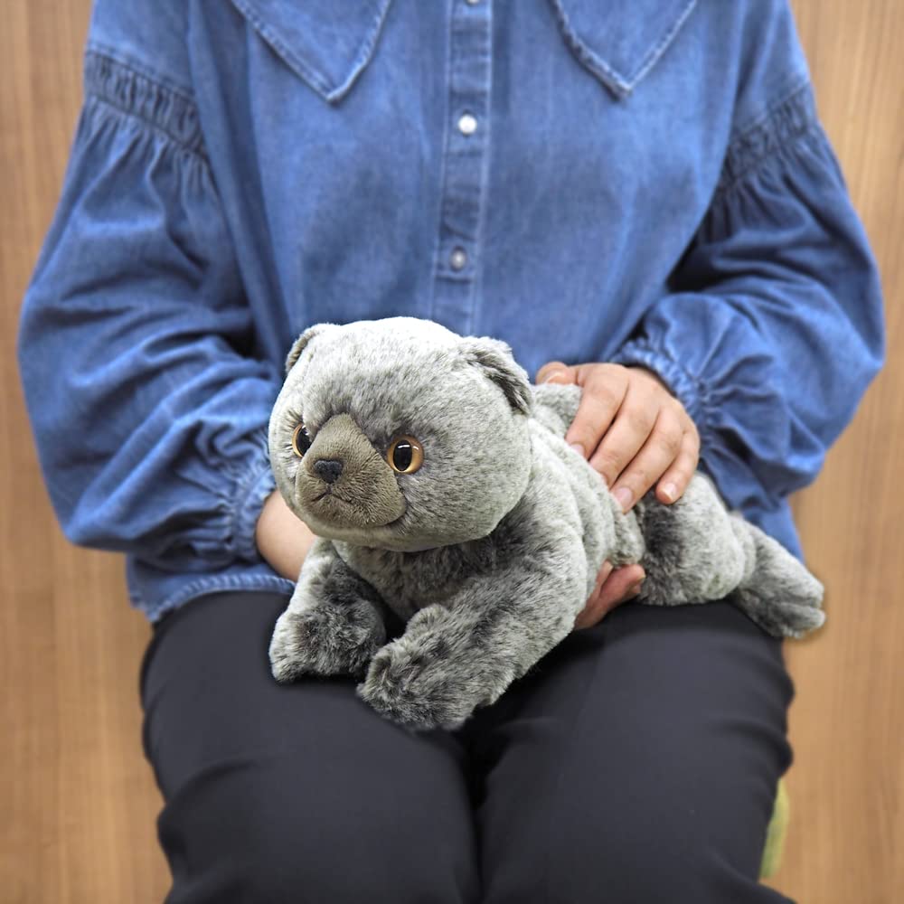 Sunlemon Knee Cat Scottish Fold Gray x x cm Stuffed Animal 17.5 12.6 33.2 P-8342