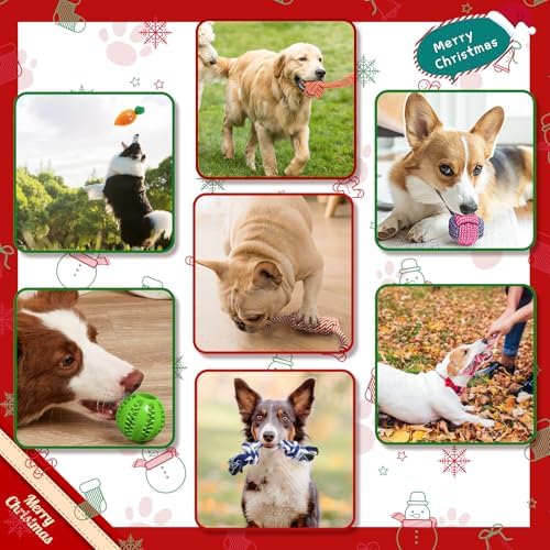 Kapetgo Puppy Toys for Dogs 8 Weeks and Up, Interactive Rope Toys, Durable Chew Toys, Blue Unicorn, 10 Pack