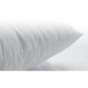 Oreiller - Anallergique - 60x60 cm - Confort moelleux - Enveloppe 100% coton - Fabrication française