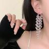 Tassel Earrings: Trendy  Affordable Luxury  Unique Design  High-end Long Drop Earrings  Distinctive Ear Jewelry