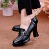 Pointed High Heels Women'S Shoes  Spring New Needle Buckle Waterproof Platform Heel Deep Mouth Women'S Leather Shoes Trafza