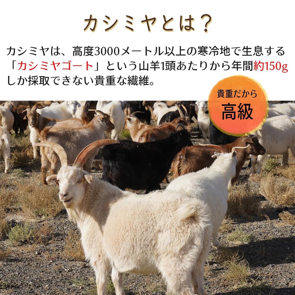 TACHO Cashmere Neck Made In Japan with Premium Inner Mongolian Suitable for Sensitive and Solid Perfect Gift for Men and Women Sand 100% Warmer/Snood,