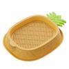 Seed Sprouting Trays Planting Hydroponics Boxes Soilless Hydroponic Cat Grass Case  Pet Supplies