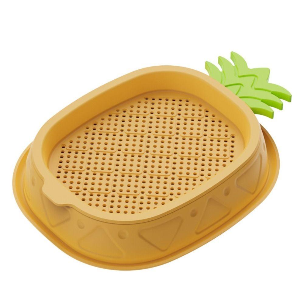 Seed Sprouting Trays Planting Hydroponics Boxes Soilless Hydroponic Cat Grass Case Pet Supplies