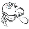 Automotive Stand Alone Wire Harness T56 DBC Drive By Wire for LS Engine 4.8 5.3 6.0