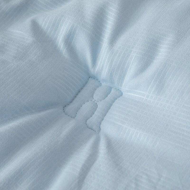 Yiyiai Single-Hole Polyester Fiber Winter Duvet Insert