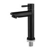 TLXT 304 Stainless Steel Black Single Cold Basin Faucet
