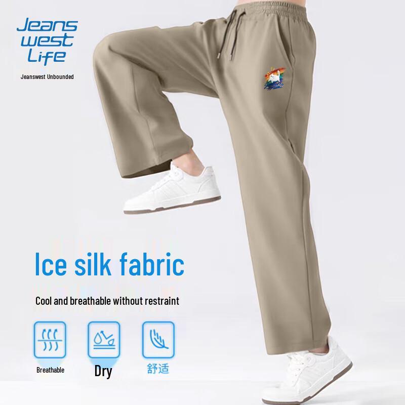 

JEANSWEST LIFE Мужские быстросохнущие брюки прямого кроя из ледяного шелка с графикой кота 5XL