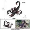 Children's Tarantula Model Toy - Realistic Prank Spider for Halloween & Cognitive Play