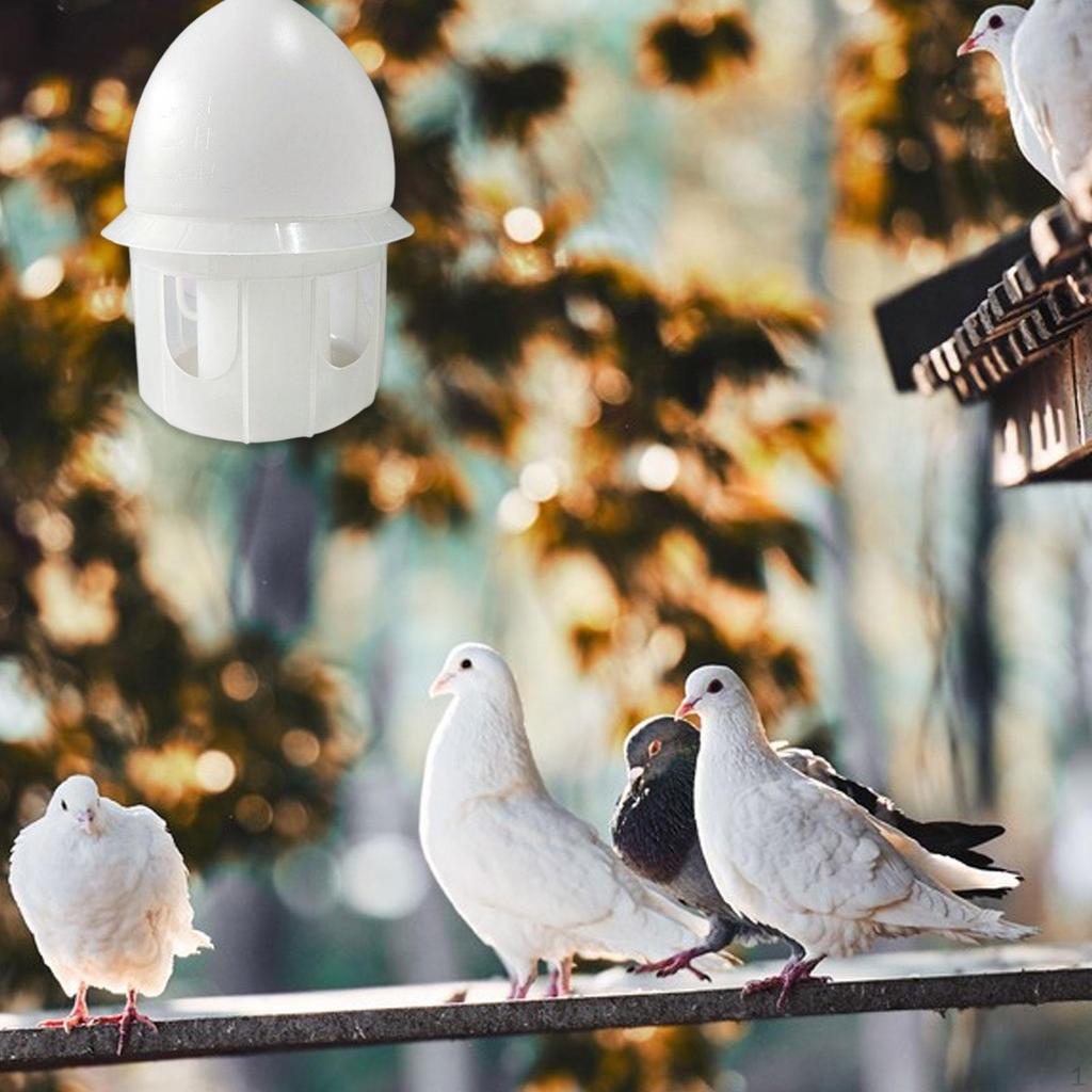 Pigeon Water Feeder Automatic Bird Dispenser Drink Pot Container for Parakeet