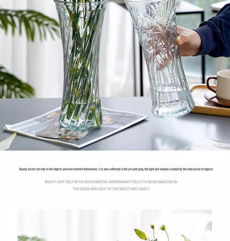 Extra Large Transparent Glass Vase for Hydroponic Bamboo & Fresh Flower Arrangements