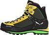 Hiking Shoes Salewa Crow GTX