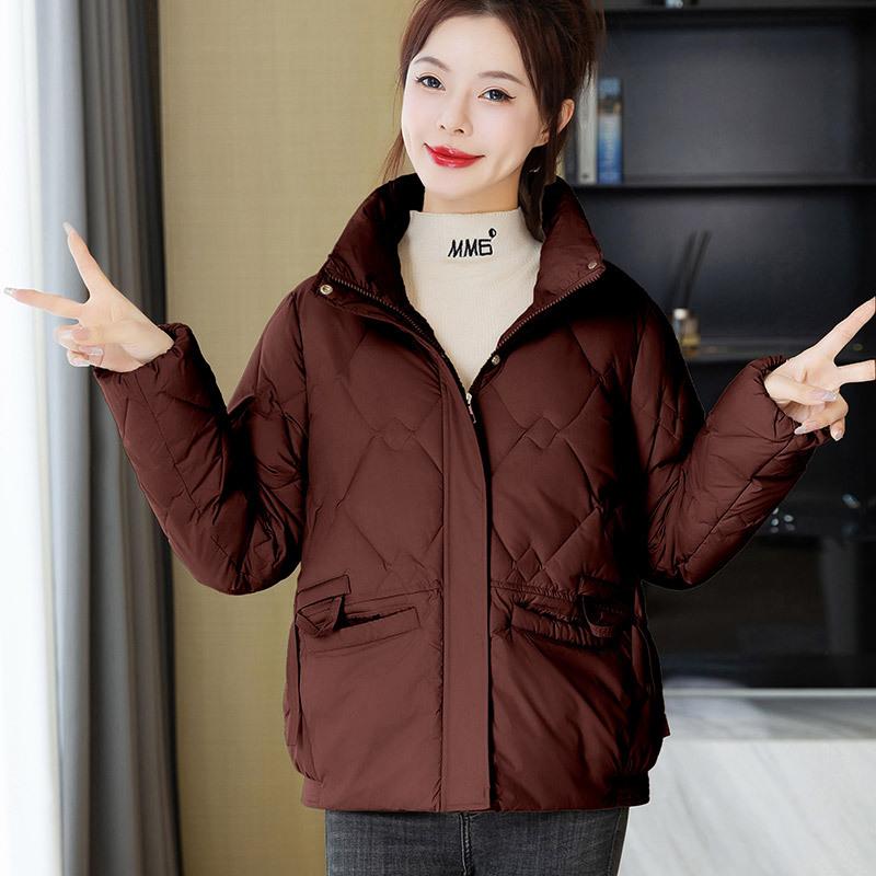 New down cotton-padded clothes women's anti-season large size loose and thin versatile hooded short coat bread clothes cotton clothes