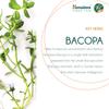 Himalaya Wellness Brahmi Tablets 60 Tablets Each Natural Mind Health Booster Pack of 2