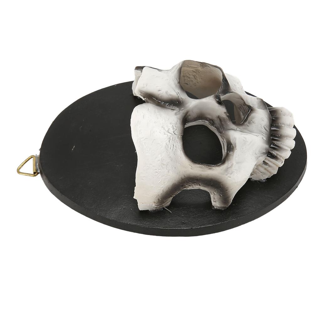 Wall Skull Candle Holder Sturdy Resin Rich Details Hanging Hook Skeleton Candlestick Holder for Party Decoration