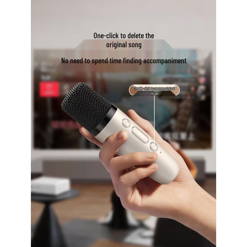 Newmine DP07 Portable Karaoke System with Dual Microphones CN plug (adapter included)