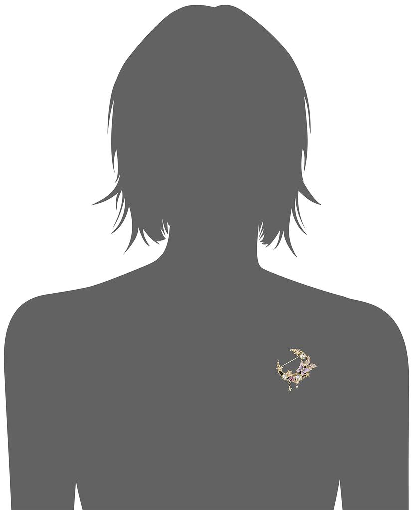 Moon Motif Brooch Gold SAMV0421 XW [Anna Sui]