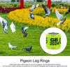 Pigeon Identification Rings 50pcs Safe Birdhouse Accessories Universal Pigeon Supplies Bands Bird Foot Rings For Racing Parrot
