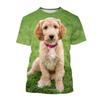 Kawaii Poodle Dog 3D Print Animal T-shirts Men Woman Fashion Streetwear Short Sleeve T Shirt Harajuku Tops Tees Kids Clothing