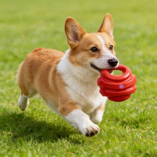 Kettlebell Dog Chew Toy Interactive Dog Toy Ball with Handle Teeth Cleaning Toy for Dogs Toss And Fetch Play Training
