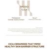 SKIN 1004 - Madagascar Centella Probio-Cica Intensive Ampoule Mini