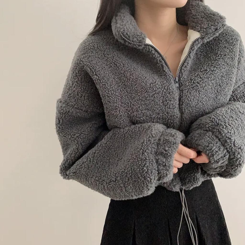 Fashion small Korean chic autumn and winter new temperament stand-up collar zipper imitation plush versatile short coat women's tide