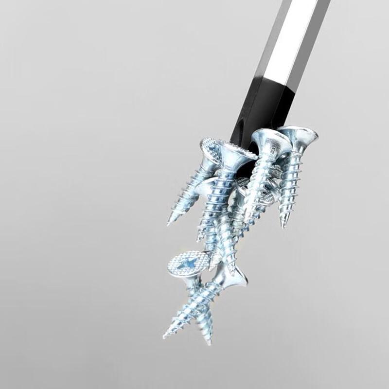 Sai Fan Lu Magnetic Phillips Screwdriver
