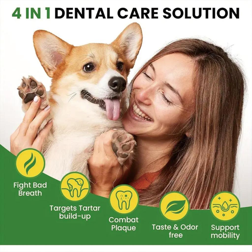 Remove dirt and plaque from the surface of pet teeth