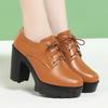 10cm Retro Elegant Women's Shoes Soft Leather Oxfords Deep Mouth Autumn 2025 Block High Heel Shoes Thick Platform Pumps Office