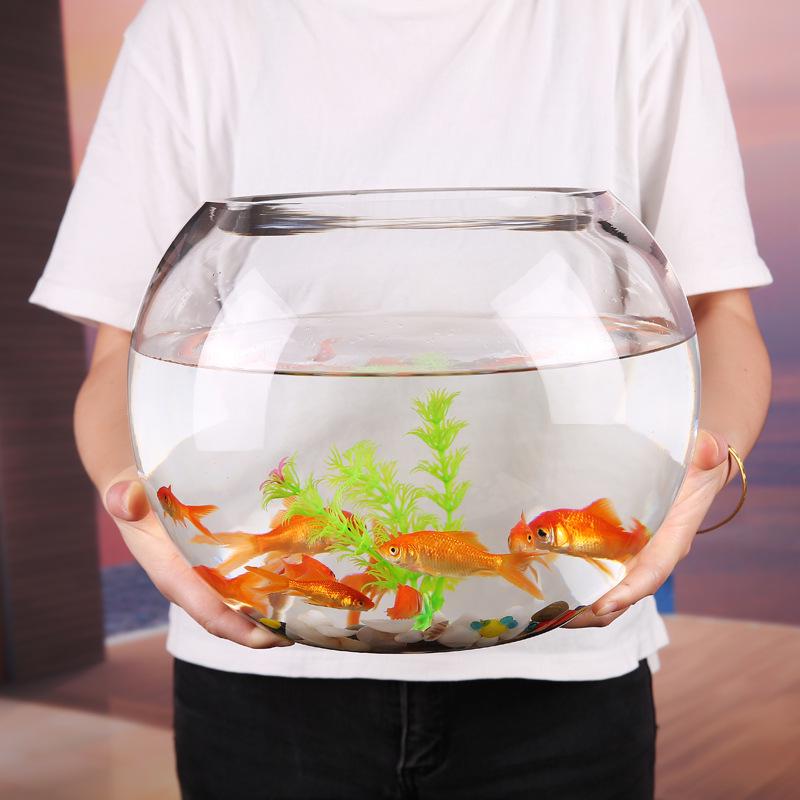 Großer Klarglas-Fisch- und Schildkrötenbehälter - Kreatives Hydroponik-Feng-Shui für Schreibtisch oder Wohnzimmer