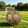 1pc Dinosaur Adventure Theme Soccer Ball Football, Size 5, Lightweight PVC, Outdoor Training Soccer Ball,Gift C6561