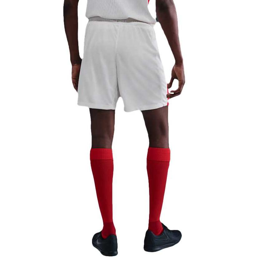 Nike Chelsea FC Soccer Bottom Men's HJ4670-030