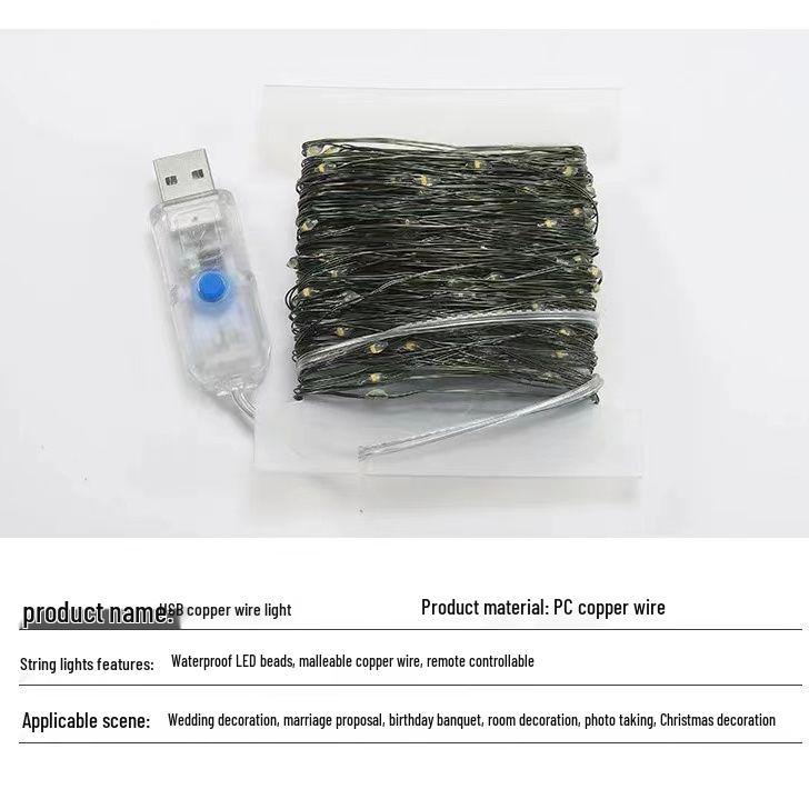 

Мерцающая звезда Медная проволока Рождественская гирлянда с зеленым проводом для украшения гирлянд и венков 10m 100 Lights (USB, Remote)