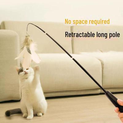 Kedi – Kedi Oyuncakları