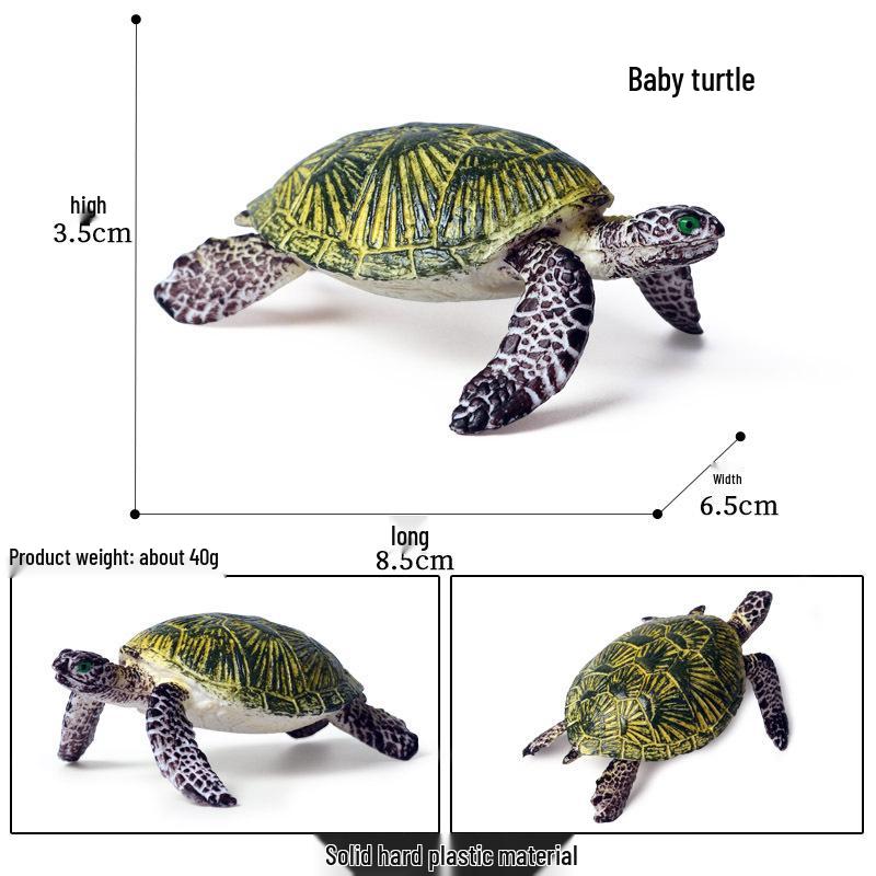Children's Cognitive Marine Animal Models: Sea Turtle and Tortoise Toys