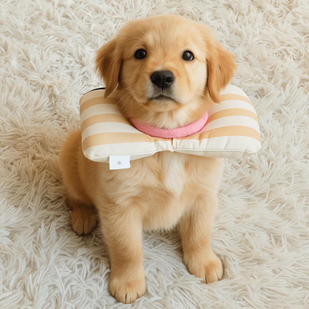 Fish Shape Cat Protective Collar Soft Dog Neck Cone Comfortable Cat Recovery Collar  For Puppy Dog