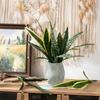 Home Decor Fake Green Plants Indoor Decoration Lifelike Design Natural Textures Decorative Indoor Green Plants Party Decoration