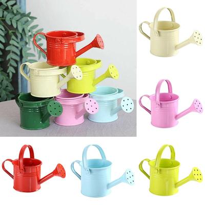 Home Vintage Mini Metal Watering Can Water Spraying Pot Flower Kettle