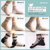 Crew [Brilliet] Socks, Women's Socks, Women's Socks, Transparent, Cute, Stylish, Spring/Summer